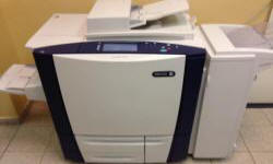 ���� ���� �� ����������� ����������� ������