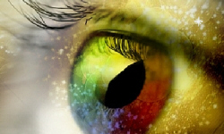 Chemia gospodarcza środki czystości odświe໘acze powietrza katalog firm POLISH