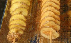 POLISH FIRMS maszyny urządzenia spożywcze gastronomiczne katalog polskich firm