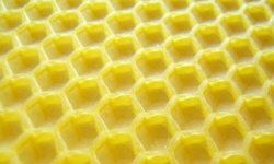 POLISH FIRMS maszyny urządzenia spożywcze gastronomiczne katalog polskich firm